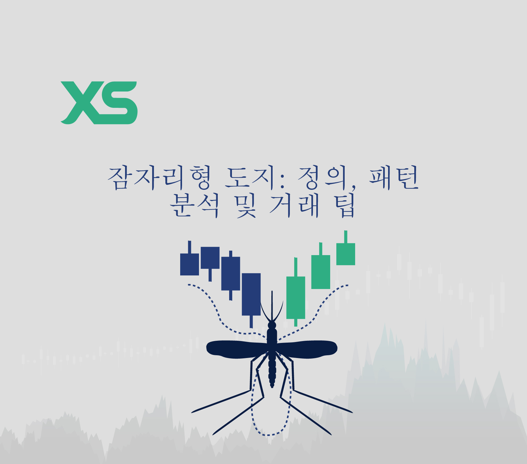 잠자리형 도지-xs